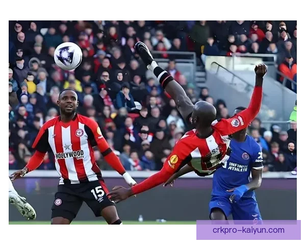 英超布朗希尔状态回暖，近期表现稳健备受关注